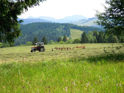 Bild 7 aus  Biohof Bilger