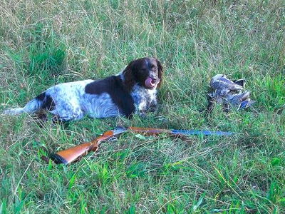 Bild 9 aus  Waldhof Bruchmühle