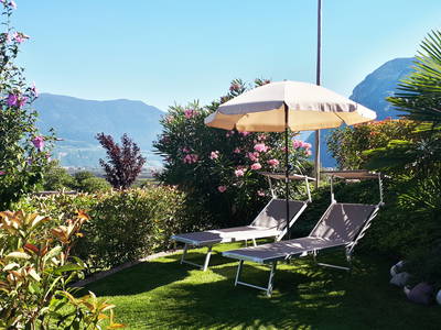 Bild 21 aus  Rebhof Kurtatsch