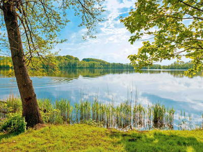 Bild 36 aus  Köllhof