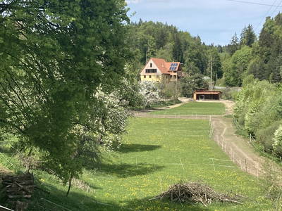 Bild 38 aus  Dachsmühle: Urlaub mit Pferd, Naturidylle, Ruhe, Auszeit
