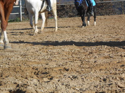 Bild 65 aus  Ferienhof Pulte