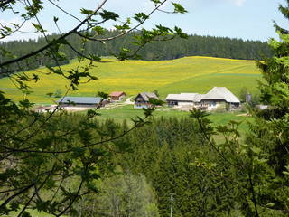 Farnbauernhof aus Schönwald (Schwarzwald)