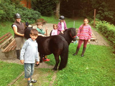 Bild 16 aus  Ferienpension-Bauernhof Mattenhof