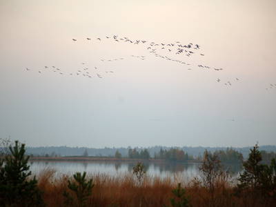 Bild 15 aus  Biohof Grafel - ein Ort, der verbindet
