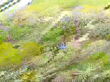 Bild 20 aus  Campinghof Dreisprung