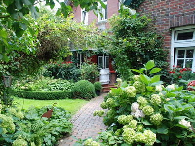 Bild 7 aus  Hof hinterm Deich