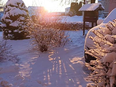 Bild 28 aus  Görgenhof - Gnadenhof für Bauernhoftiere