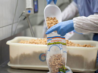 Bild 19 aus  Harder Urlaubsdomizile