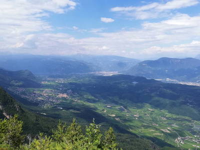 Bild 36 aus  Ansitz Grustdorf