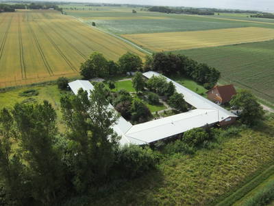 Bild 9 aus  WindWeiteWattenmeer Ferien in Tossens