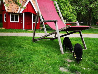 Bild 29 aus  Urlaub auf dem Ennenhof – Landliebe für die ganze Familie