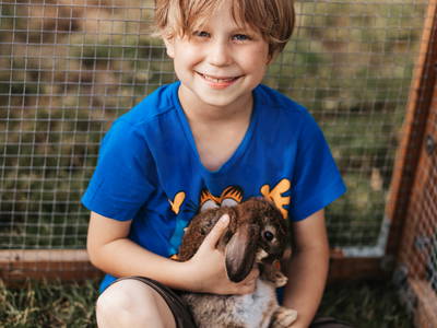 Bild 23 aus  Wendelinshof