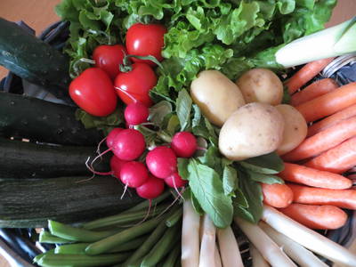 Bild 30 aus  Raffreiderhof