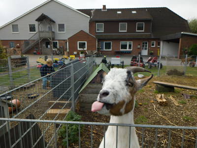 Bild 23 aus  Schwalbenhof