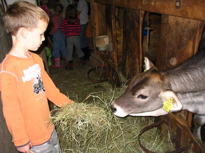 Bild 14 aus  Bauernhoferlebnis Lindenhof