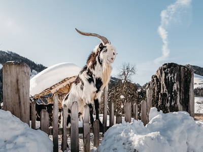 Bild 31 aus  LandSelection Proneben Gut