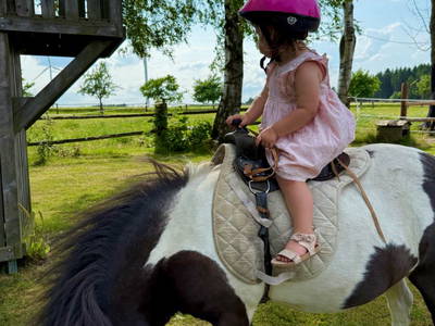 Bild 12 aus  Georgihof