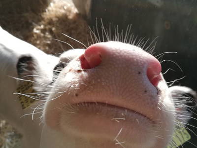 Bild 24 aus  Marienhof