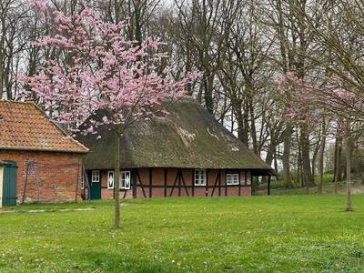 Bild 5 aus  Gut Godderstorf