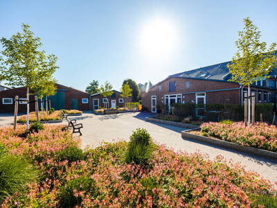 Bild 21 aus  Poenenhof