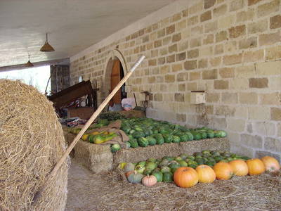 Bild 37 aus  Urlaub auf dem Lande zwischen den zwei Meeren - Apulien - Salento