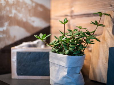 Bild 21 aus  OBERBICHLHOF Appartements & Bauernhof