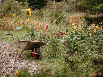 Bild 9 aus  LandSelection Hof am Kolk