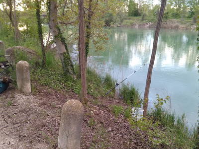 Bild 25 aus  Bauerhofurlaub zwischen den Touristenattraktionen Gardasee, Verona und Mantua