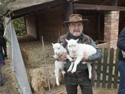 Bild 10 aus  Erlenhof im Oderbruch - Rund ums Schaf