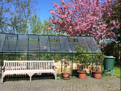 Bild 21 aus  Nase im Wind