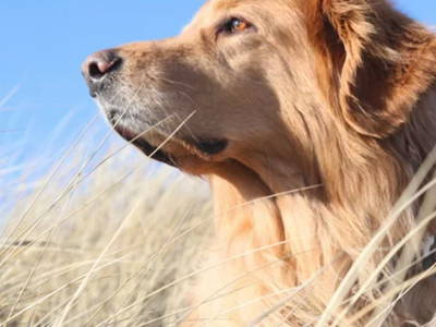 Bild 3 aus  Ferienhof Rudolf Becker Haus Liebevoll