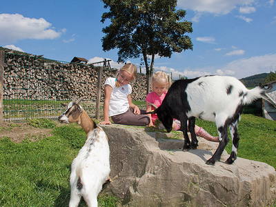 Bild 6 aus  Ferienhof Belke-Spork