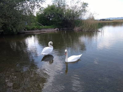 Bild 16 aus  Ferienhof Endras