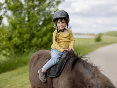 Bild 18 aus  Ferienbauernhof Ohr