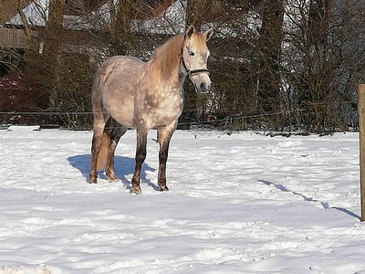 Bild 44 aus  Marienhof