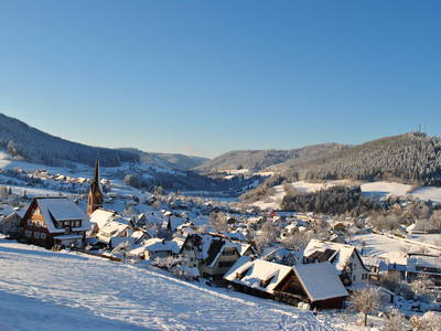 Bild 34 aus  Goldener Hahn - Hyggeliges Aparthotel mit Frühstücksbuffet, Pool & Sauna