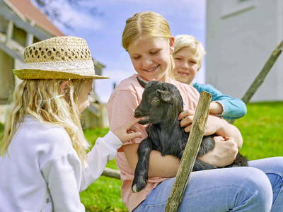 Bild 11 aus  Berndlhof