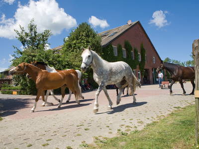 Bild 2 aus  LandSelection Traberhof