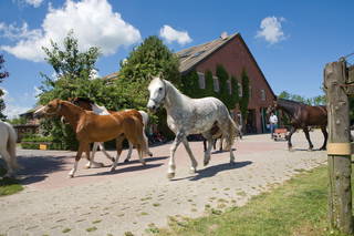 LandSelection Traberhof aus Wangerland