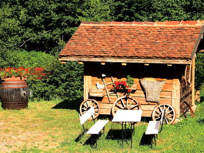 Bild 5 aus  Springhansenhof im Schwarzwald