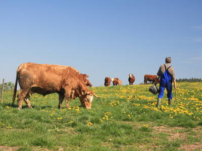 Bild 18 aus  Ferienhof Larrieder Mühle
