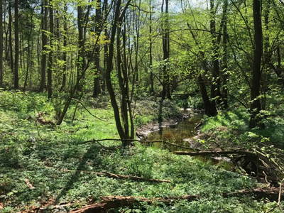 Bild 12 aus  Ostsee Baumhaushotel Schleswig-Holstein