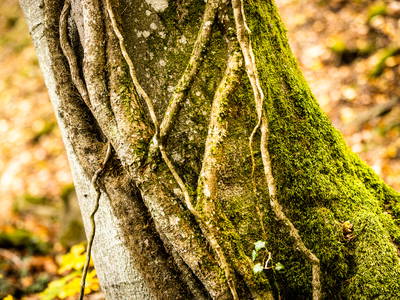 Bild 56 aus  Gut Neuwerk