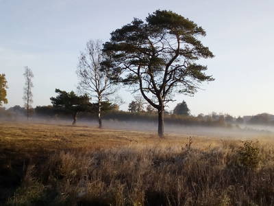 Bild 22 aus  Ferienhof Jansen