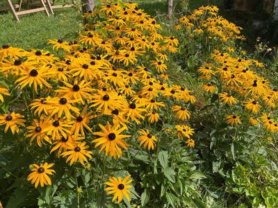 Bild 34 aus  Naturetouch -  Deine Kraftquelle in Steinberg am Rofan