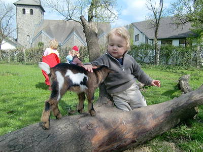 Bild 41 aus  Hubertushof, der Bilderbuchbauernhof