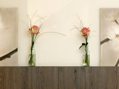 Bild 36 aus  Hollweck's Landoase