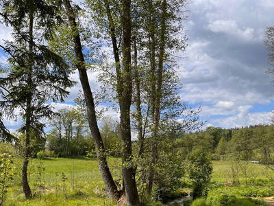 Bild 23 aus  Mitteraubach