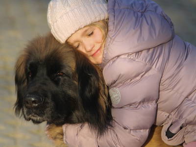 Bild 46 aus  Gut Sommereichen